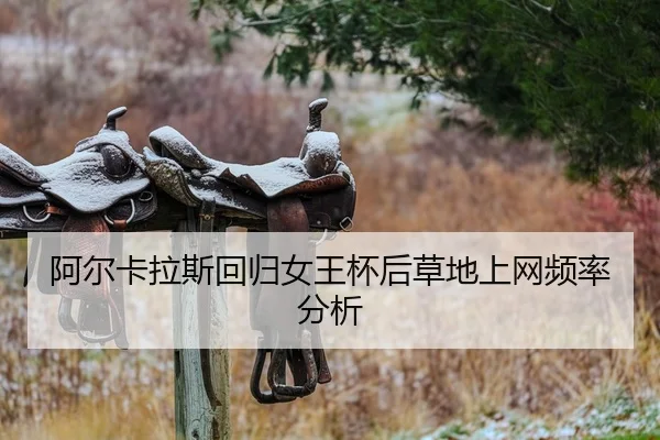 a-er-ka-la-si-hui-gui-nv-wang-bei-hou-cao-di-shang-wang-pin-lv-fen-xi-2-131.jpg