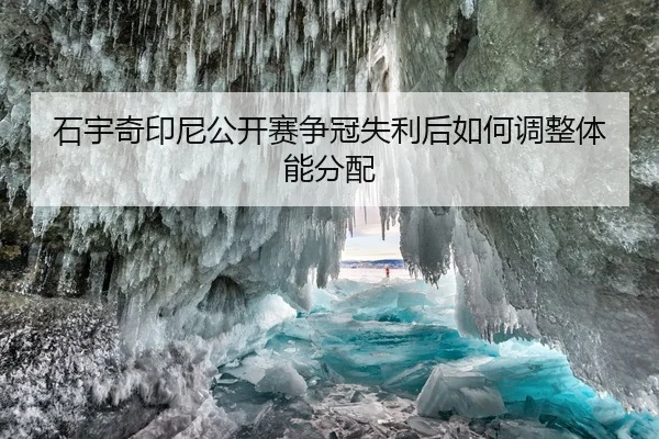 shi-yu-qi-yin-ni-gong-kai-sai-zheng-guan-shi-li-hou-ru-he-tiao-zheng-ti-neng-fen-pei-2-392.jpg