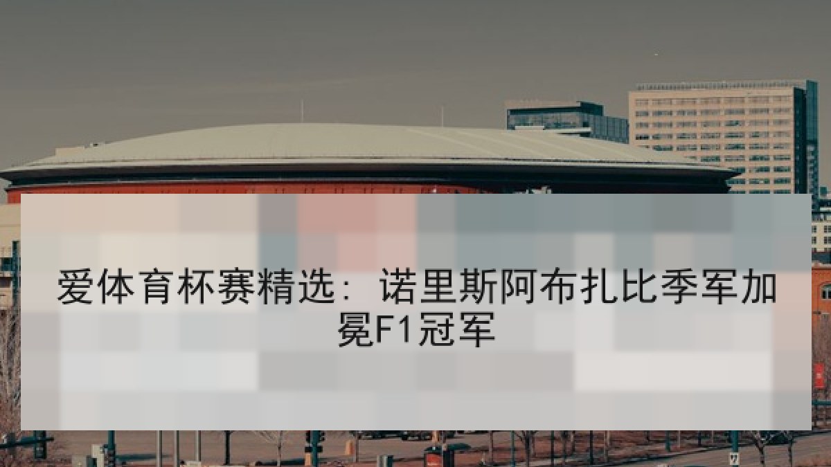 爱体育杯赛精选: 诺里斯阿布扎比季军加冕F1冠军 爱体育杯赛精选: 诺里斯阿布扎比季军加冕F1冠军